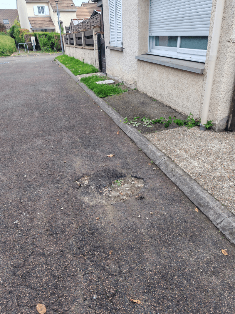 Signalement à Vernouillet