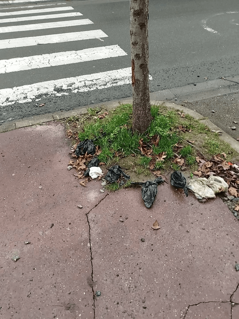 Signalement à Vichy
