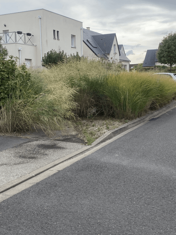 signalement à La Ville-aux-Dames