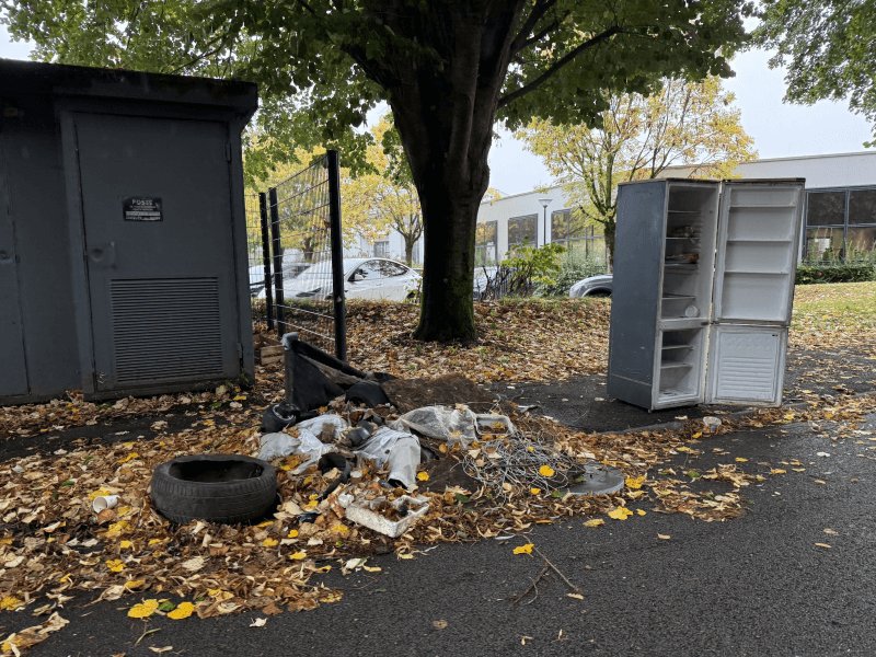 Dépôt sauvage, 50 Allée Lavoisier, Villeneuve-d'Ascq
