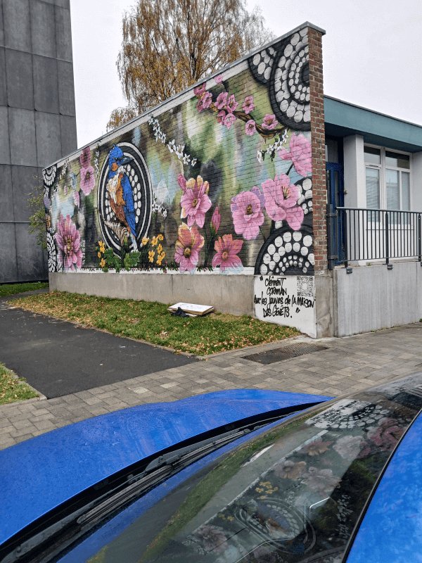 Dépôt sauvage, Rue des Genêts, Villeneuve-d'Ascq
