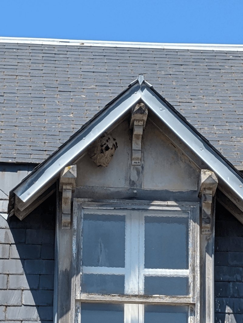 Autre, 14 Rue de Banville, Villerville