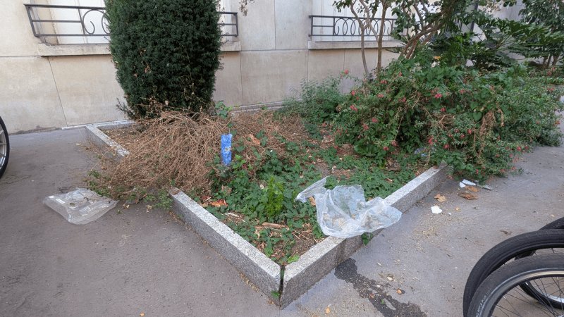 Propreté, 6 rue des Sabotiers, Vincennes