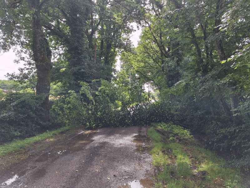 Voirie, éclairage, 890 Chemin de la Serpoyère, Viriat