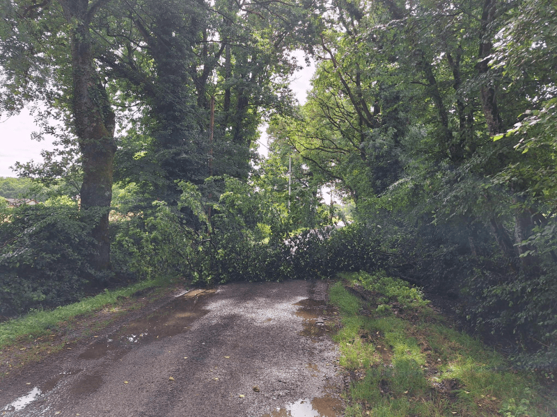 Signalement à Viriat