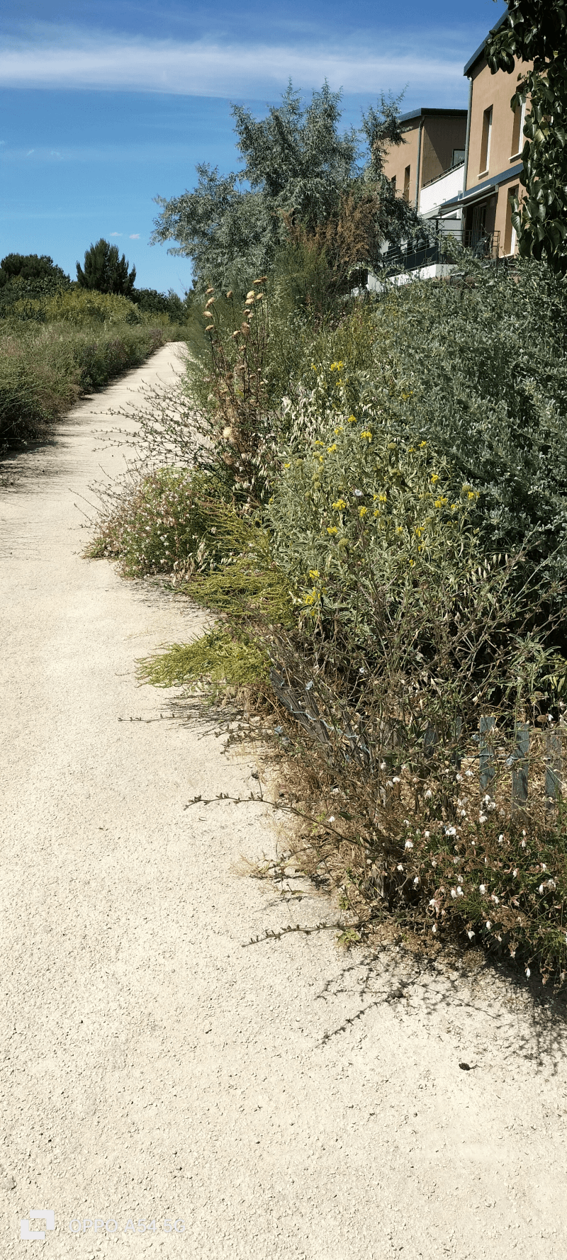 signalement à Vitrolles