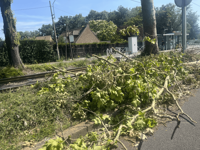 signalement à Wasquehal
