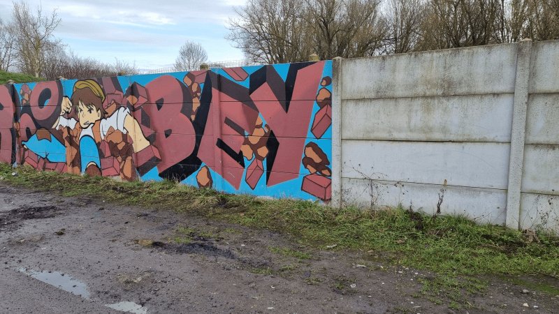 Dépôt sauvage, 12 Rue de la Carluyère, Wattrelos : après