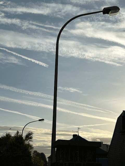 Signalement à Yvetot