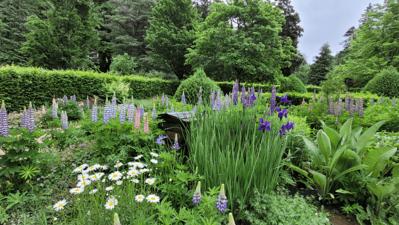 Parc fenestre