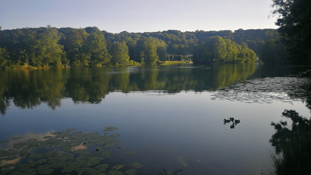 La Marne