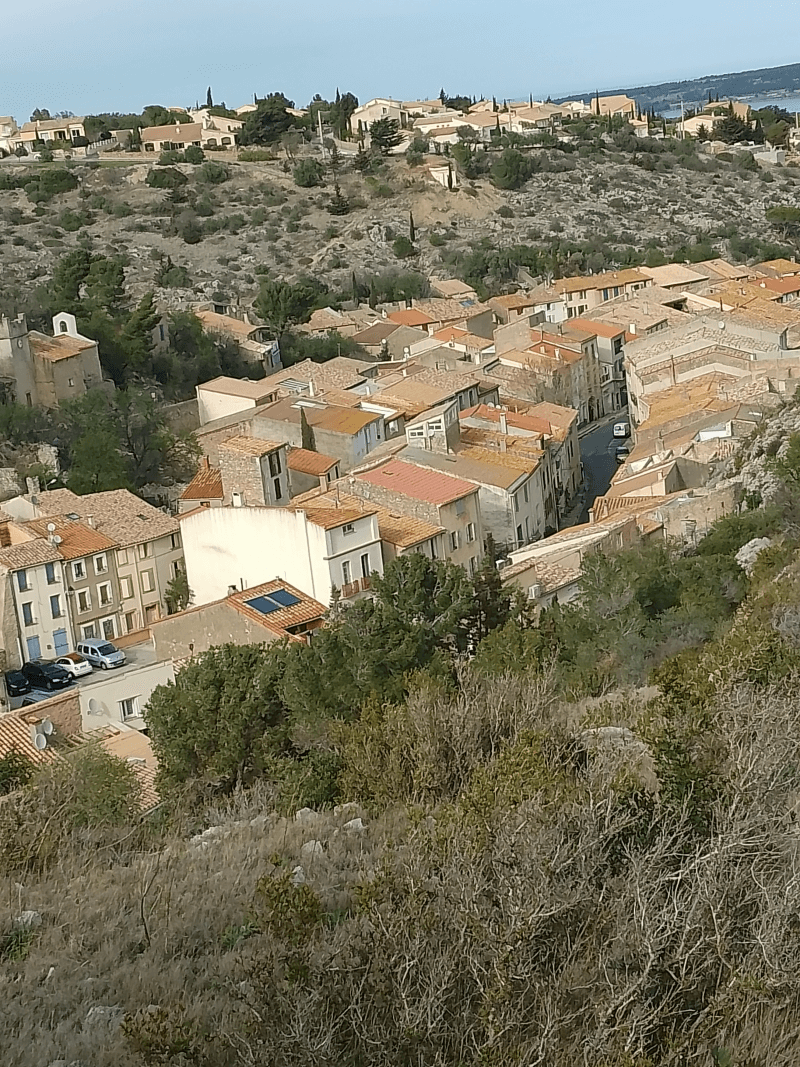 Vue de la garigue