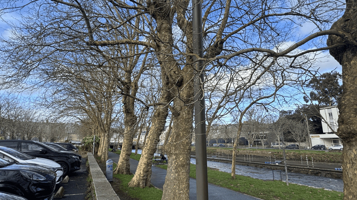 Quai aiguillon 