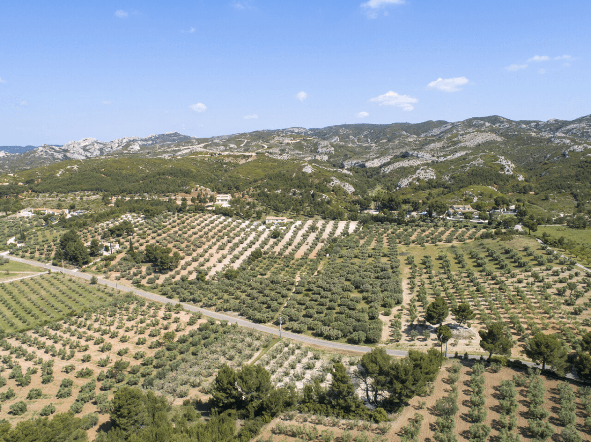 Maussane les Alpilles