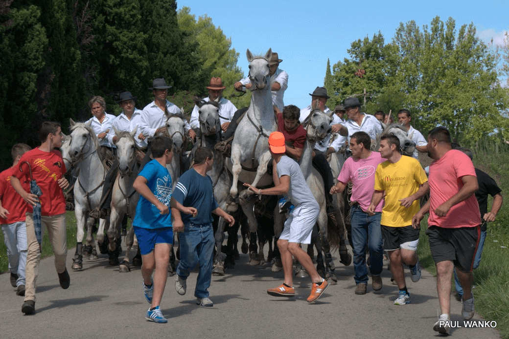 Maussane les Alpilles