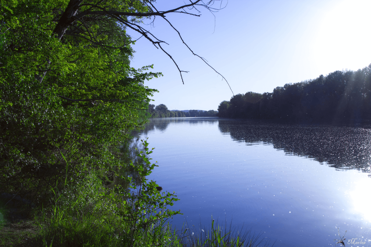 Sa Garonne 