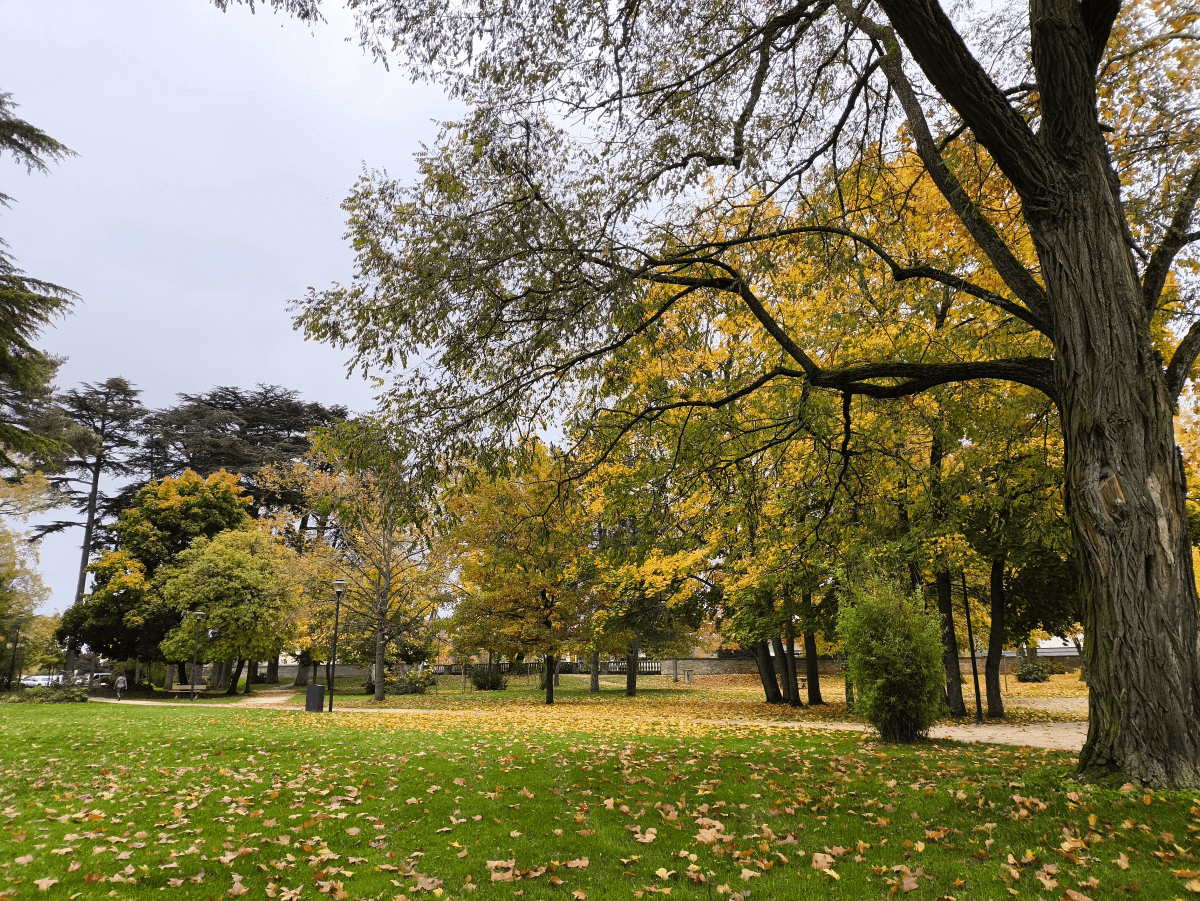 Parc de Perrigny-lès-Dijon 