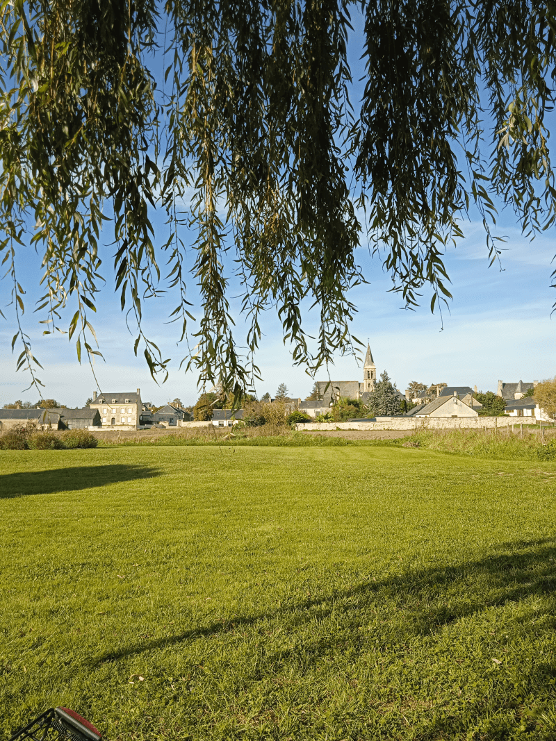 Restigné,les marais du bourg 