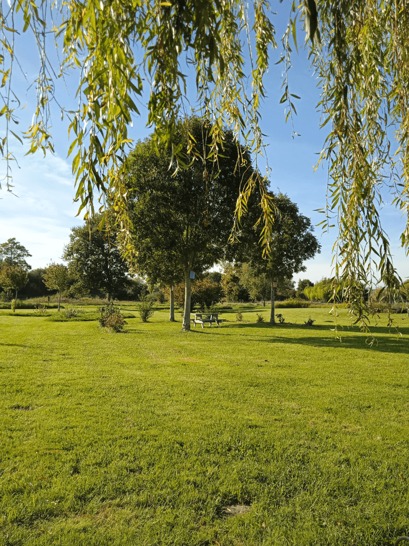 Restigné,les marais du bourg 